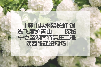 穿山越水架长虹 银线飞度护青山——探秘宁夏至湖南特高压工程陕西段建设现场